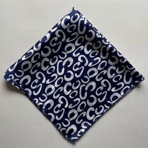 Blue print scarf